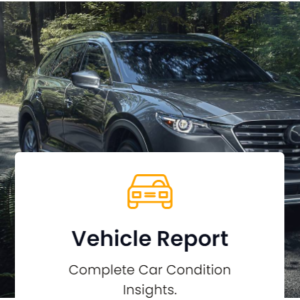 Vehicle Report Premium Plan